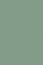 FARROW AND BALL CHAPPELL GREEN NO.83 PAINT